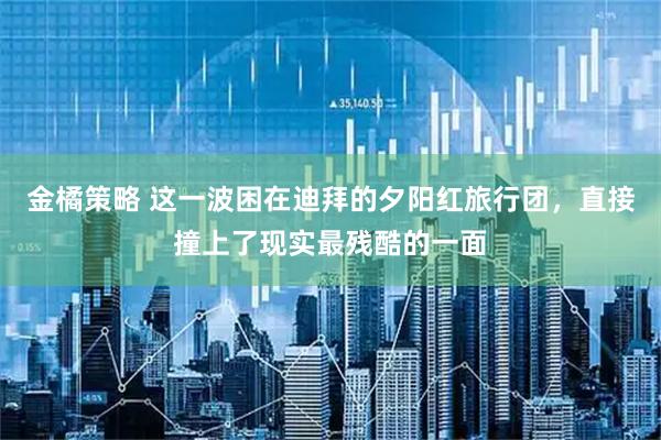金橘策略 这一波困在迪拜的夕阳红旅行团，直接撞上了现实最残酷的一面