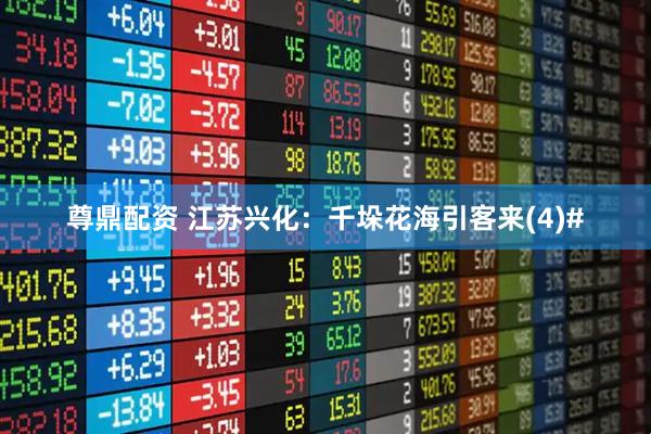 尊鼎配资 江苏兴化：千垛花海引客来(4)#