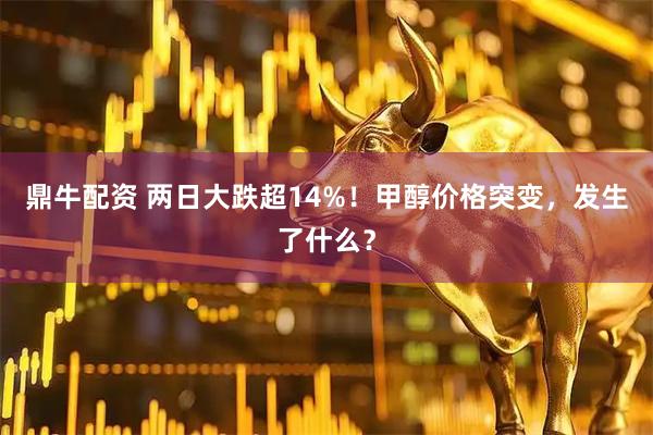 鼎牛配资 两日大跌超14%！甲醇价格突变，发生了什么？