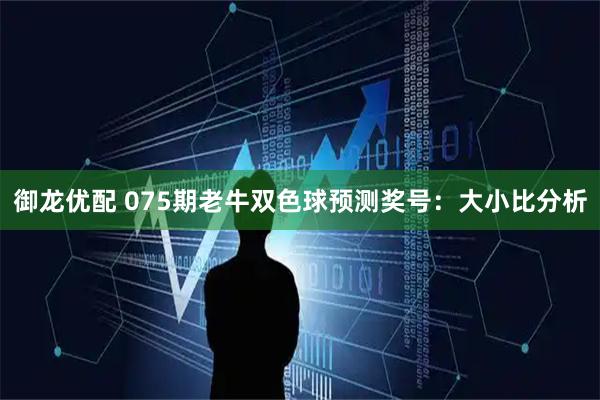 御龙优配 075期老牛双色球预测奖号：大小比分析
