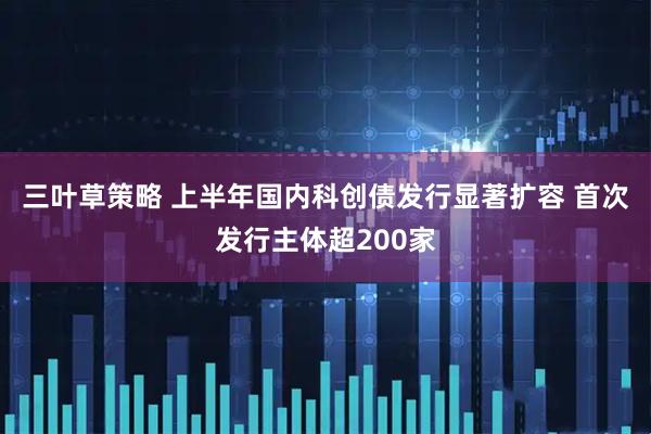 三叶草策略 上半年国内科创债发行显著扩容 首次发行主体超200家