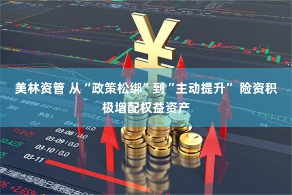 美林资管 从“政策松绑”到“主动提升” 险资积极增配权益资产