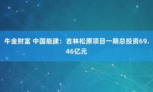 牛金财富 中国能建：吉林松原项目一期总投资69.46亿元