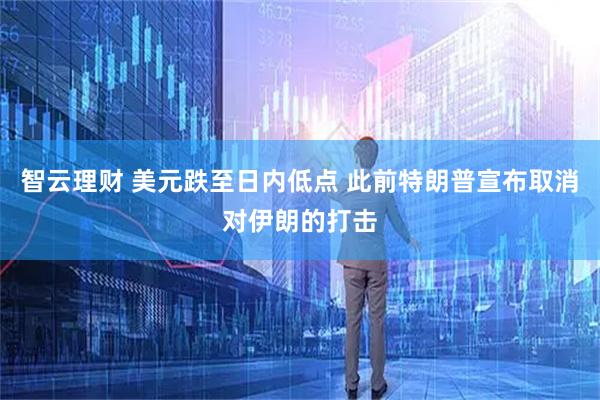 智云理财 美元跌至日内低点 此前特朗普宣布取消对伊朗的打击