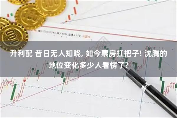 升利配 昔日无人知晓, 如今票房扛把子! 沈腾的地位变化多少人看愣了?